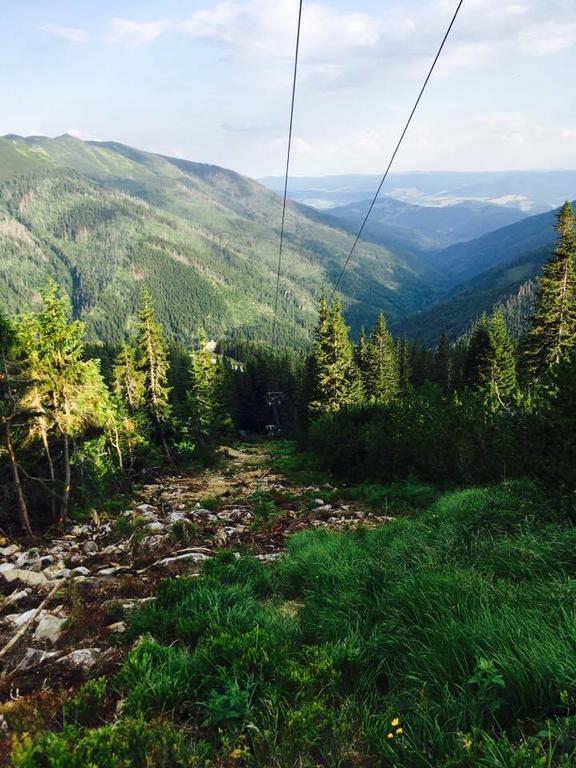Chata Kosodrevina - Turisticka Ubytovna Tale Exterior foto